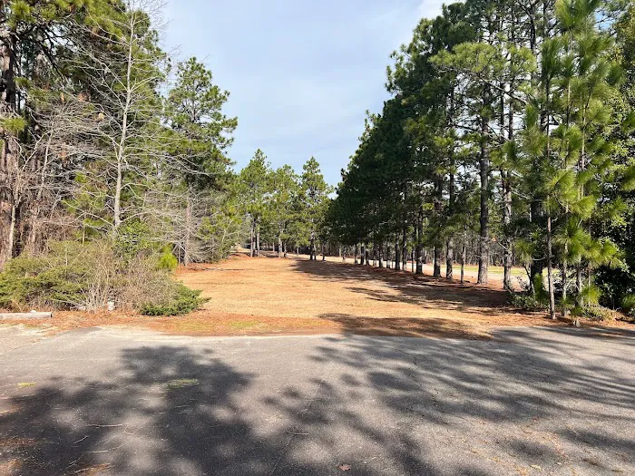Pinecove RV and Villa Rental Picture 3