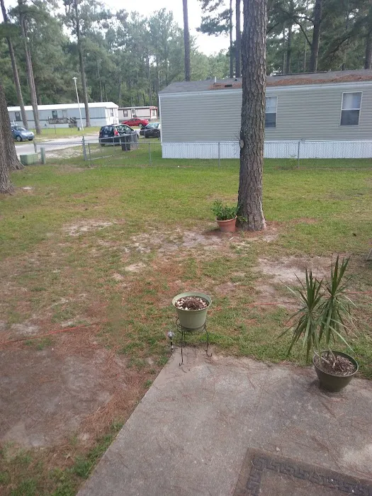 Shady Lane Mobile Home Park Picture 2