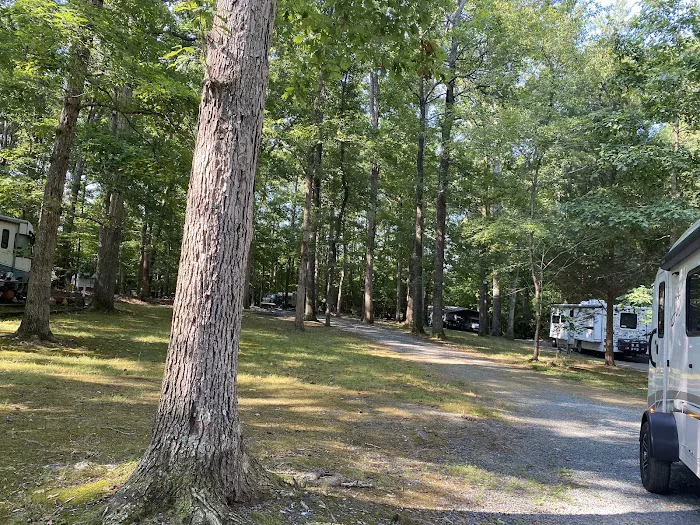 Springhill Park Picture 5
