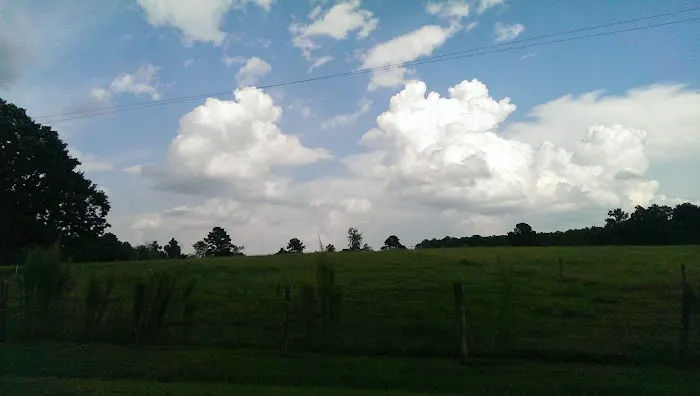 Springhill Park Picture 7