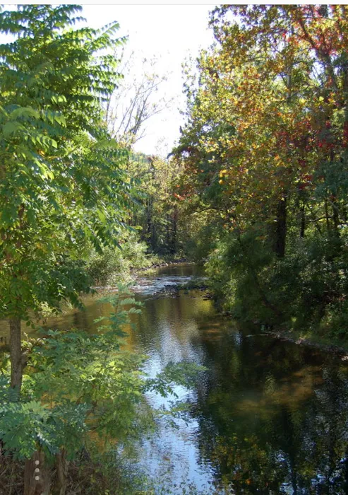 Damascus Creekside RV Park Picture 10