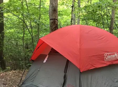 Paint creek Rv lots