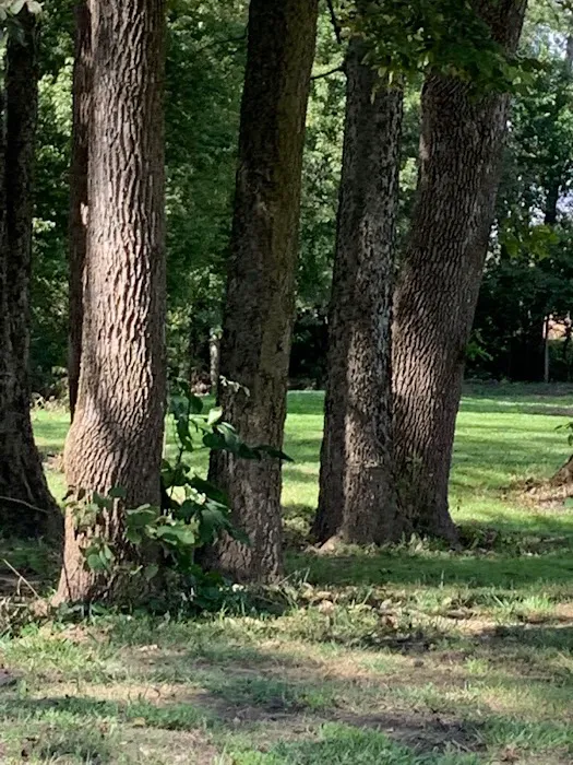 Paint creek Rv lots Picture 3