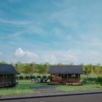 Timber meadows ico