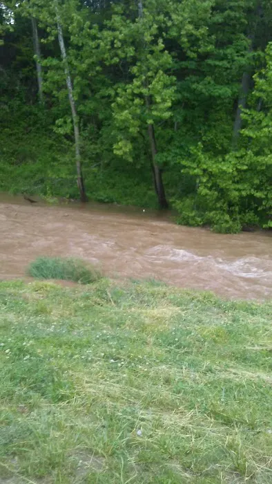 Big Ivy Mobile Home Park Picture 4