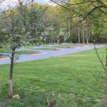 Little Field RV Park