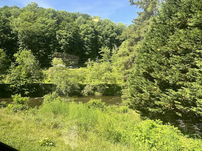 Speckled Trout River Club and RV Park Picture 5