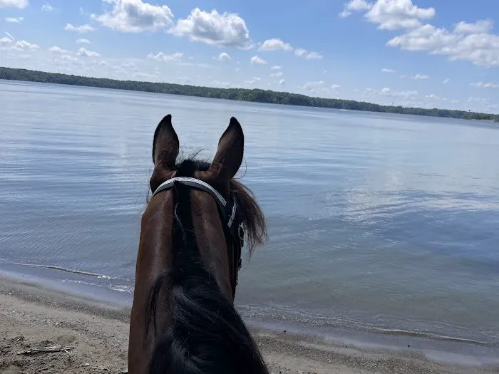 Caesar Creek Horseman’s Group Camp Picture 3
