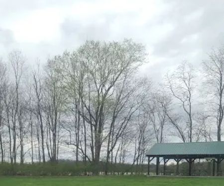 Hickory Overlook Group Camp Site