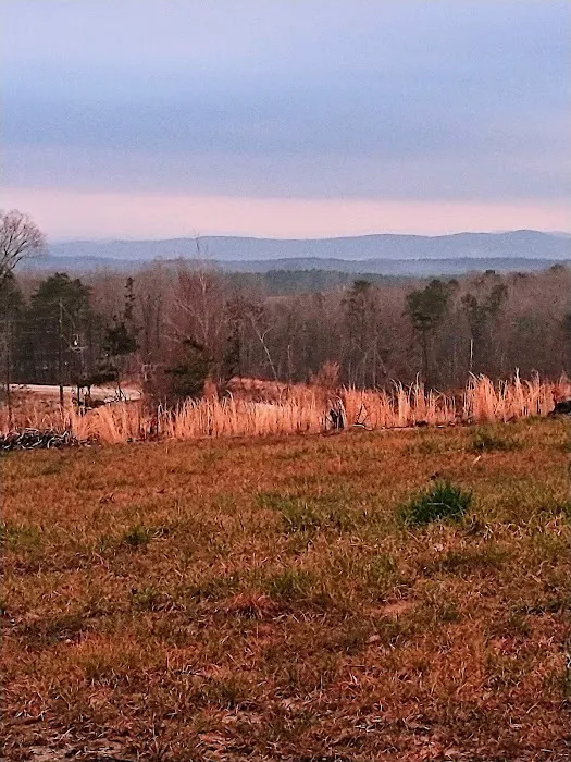 Scenic View R V Park and campground Picture 2