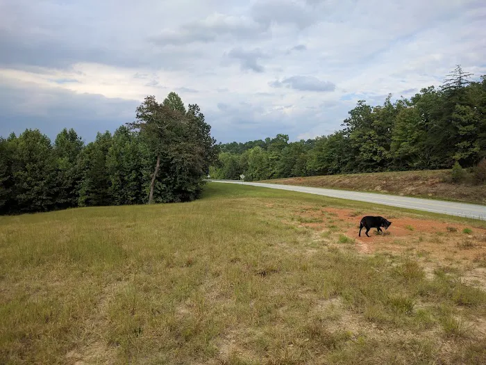 Scenic View R V Park and campground Picture 6
