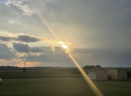 Buckley Family Farm