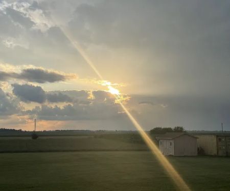 Buckley Family Farm