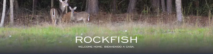 Rock Fish Mobile Home Community Picture 5
