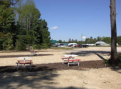 Airport RV Park Picture 4