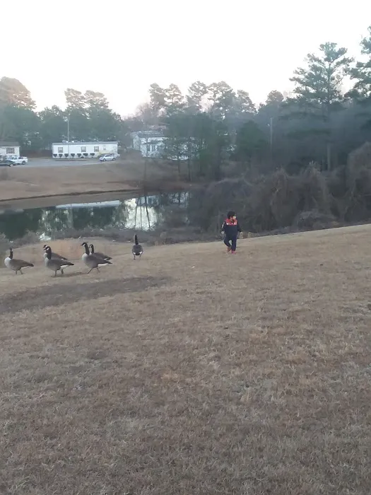 Cross Creek Pond MHP Picture 5