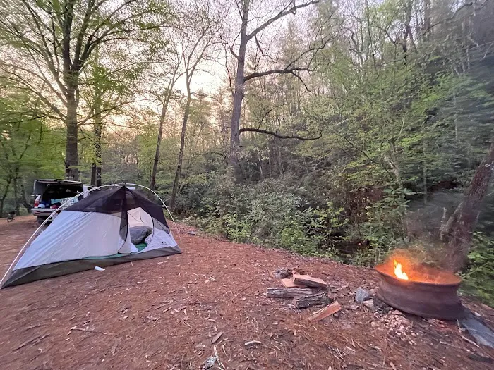 Horseshoe Bend Family Campground Picture 9
