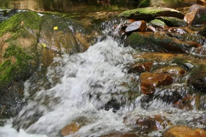 Paddy's Creek Campground at Lake James State Park Picture 9