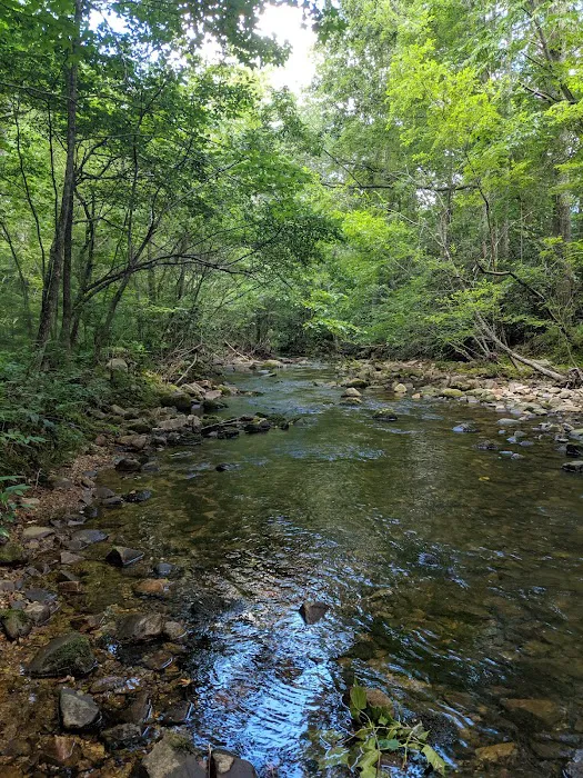 Paddy Creek Campground Picture 9