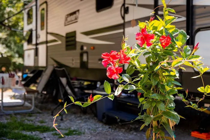 Triangle RV Park - North Picture 8