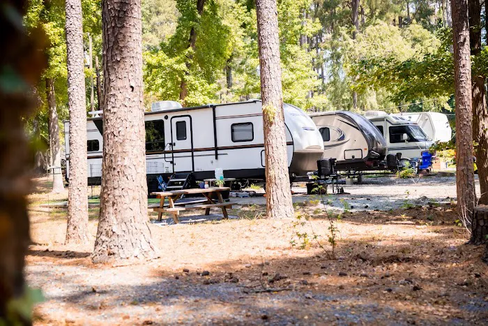 Triangle RV Park - North Picture 3
