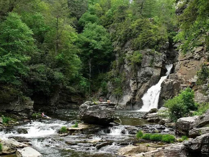 Spacious Skies Campgrounds - Bear Den Picture 7