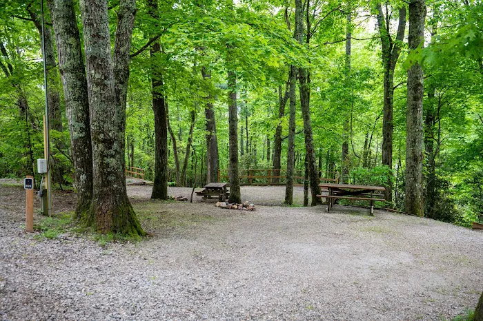 Spacious Skies Campgrounds - Bear Den Picture 9