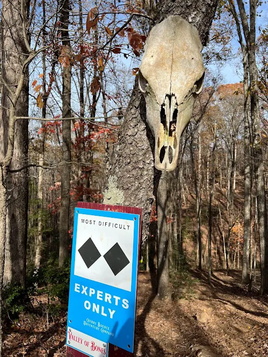 Cherry Bounce Adventure Co., Camping & ATV/SXS Resort Picture 9