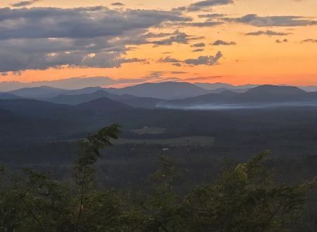 Bolin Knob Meadows