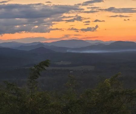 Bolin Knob Meadows