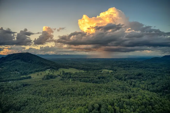 Bolin Knob Meadows Picture 3