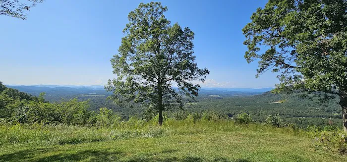 Bolin Knob Meadows Picture 6