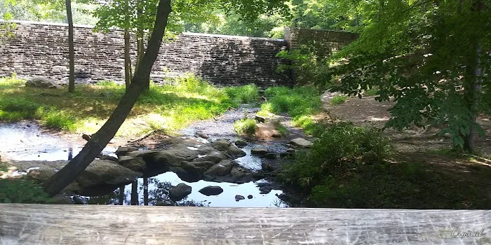 Kings Mountain Campground Picture 2