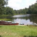 Kings Mountain Campground