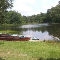 Kings Mountain Campground ico