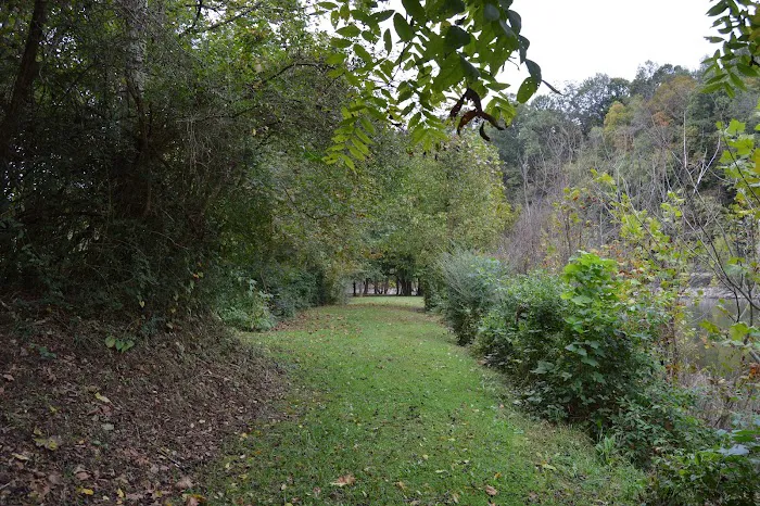 Island Park Campground Picture 5
