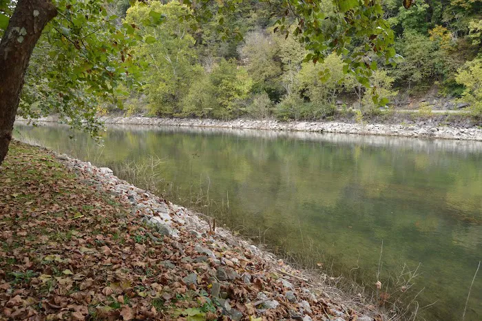 Island Park Campground Picture 2