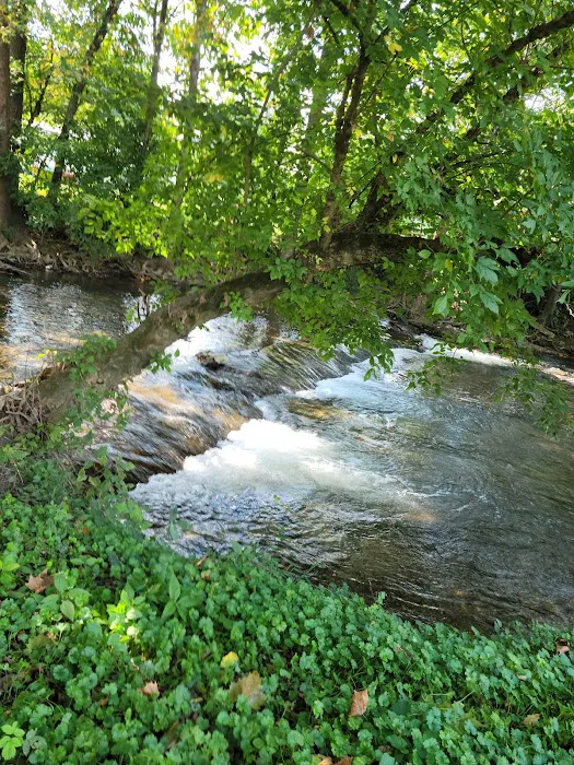 Shadrack Campground Picture 9