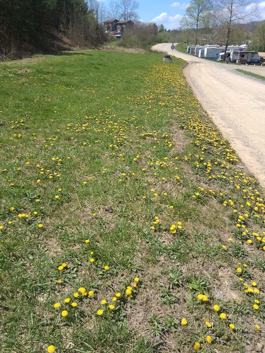 Thunder Mountain Campground Bristol Picture 1