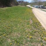 Thunder Mountain Campground Bristol