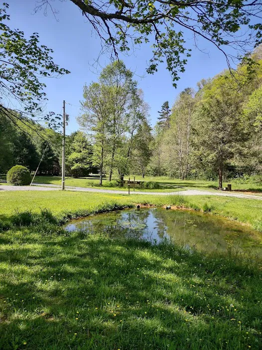 Yellow Mountain Campground Picture 4
