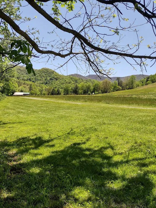 Yellow Mountain Campground Picture 3