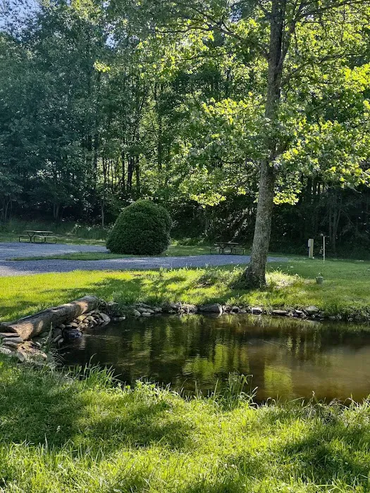 Yellow Mountain Campground Picture 9