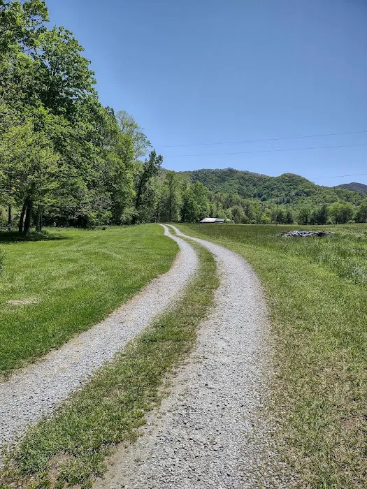 Yellow Mountain Campground Picture 5