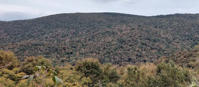 Stan Murray Shelter - Appalachian Trail Picture 1