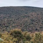 Stan Murray Shelter - Appalachian Trail