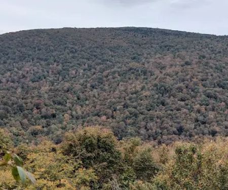 Stan Murray Shelter - Appalachian Trail