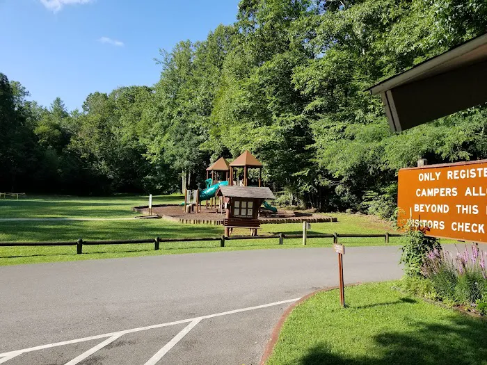 Roan Mountain State Park Campground (RV & Tents) Picture 9
