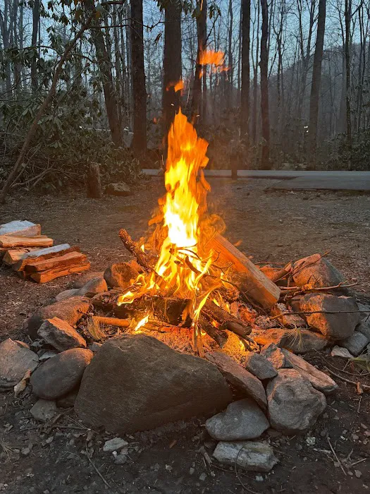 Roan Mountain State Park Campground (RV & Tents) Picture 5