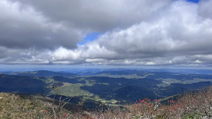 Roan Mountain State Park Campground (RV & Tents) Picture 3